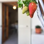 Appartement Acqua Chiara Lido Marini